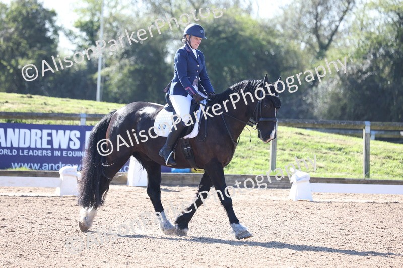 20260318-0132 - Class 2 - Intro 4