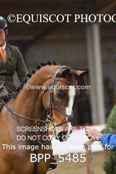 BPP_5485 - CLASS 8 70CM