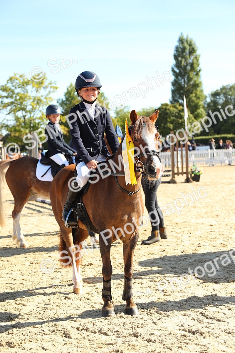 SBM_36034 - J5 - Junior Pony 50cm Championship