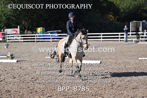 BPP_8785 - LONG ARENA