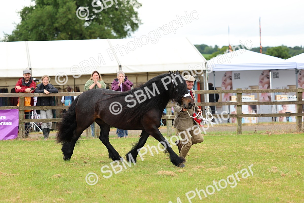 SBM_00583 - Class 58-67 - M&M Non Welsh Pony In hand
