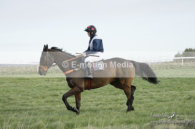 PtP 281121 0174 - Hursley Hambledon Point-to-Point Larkhill 28/11/21