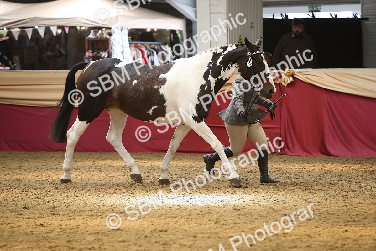 SBM_05636 - Class 9R - Regional IH Pre-Vet
