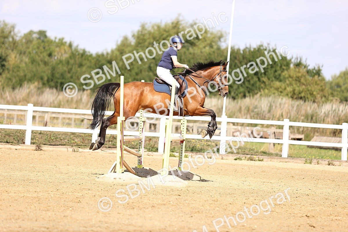 SBM_005903 - Class 9 - Senior British Novice - 90cm
