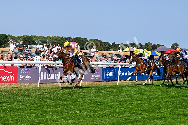 130826-Race 3-State Of Gold-8779 - Race 3 15.15pm Hornsea Ladies At The Races Nursery Handicap