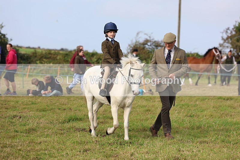 3E7A3701 - Class 2: Lead rein