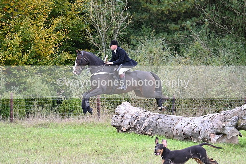 WJ7_3595 - Camera 1 Line 1