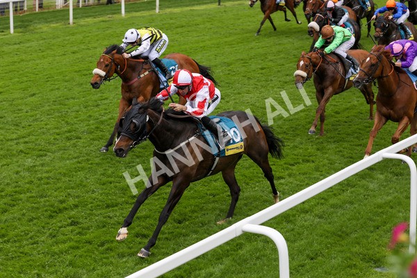 150524-Race 2-Aleezdancer-1476 - Race 2 2.45pm Churchill Tyres Handicap