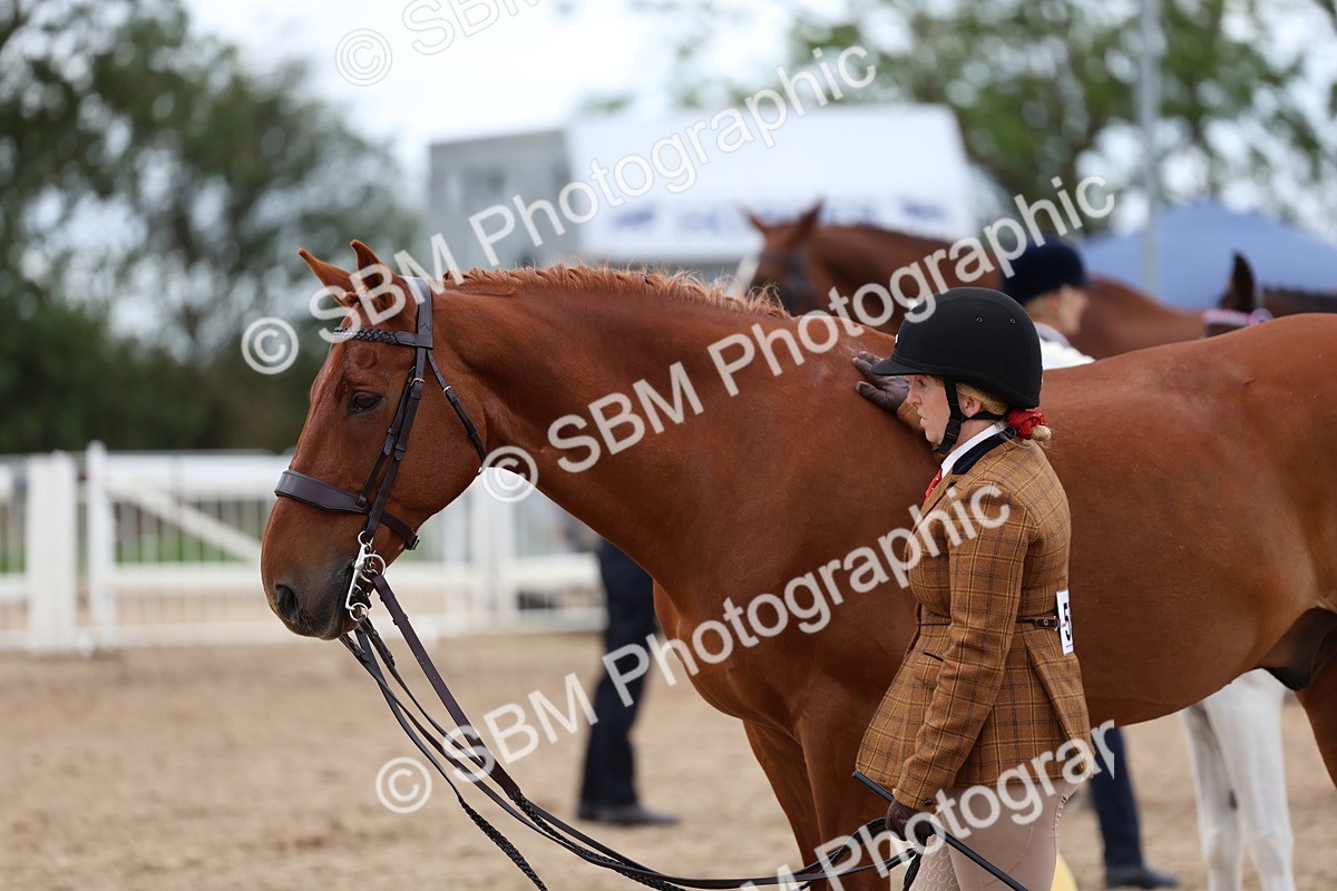 SBM_05099 - Class 27 - IH Competition Horse or Pony