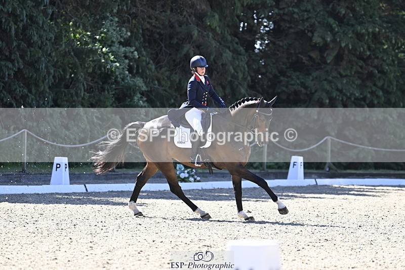 250522A-101232-02637 - B-310-Kitty.King-LISCARROW.FERNHILL