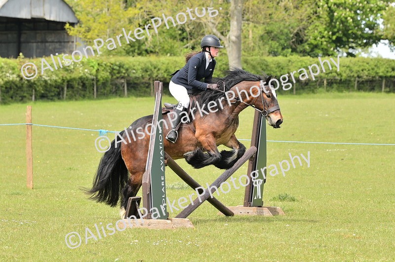 20260426-2376 - Class 21 - Working Hunter Ponies
