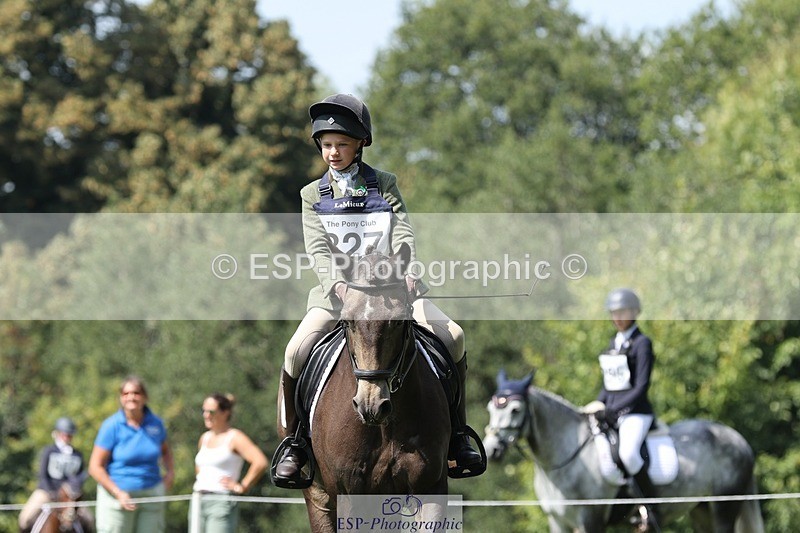 250823A-134831-31369 - Arena D