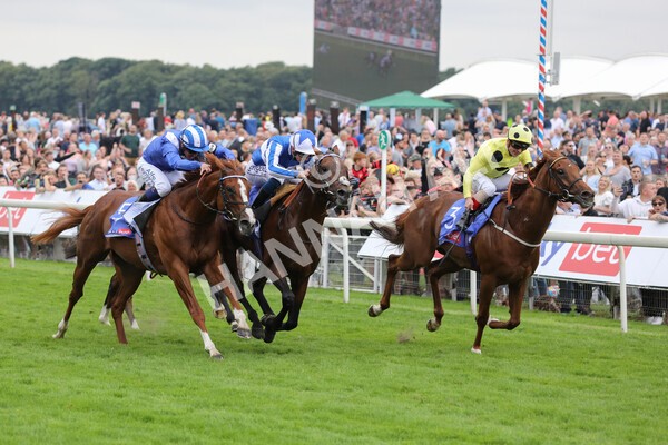 yr24072021r3-24 - Race 3 3.15pm Sky Bet York Stakes