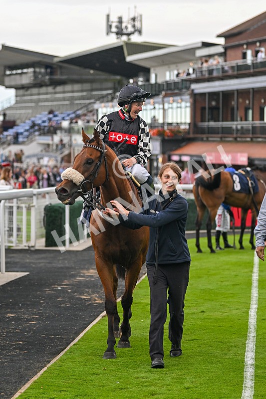 290725-Race 7-King Sharja-1321
