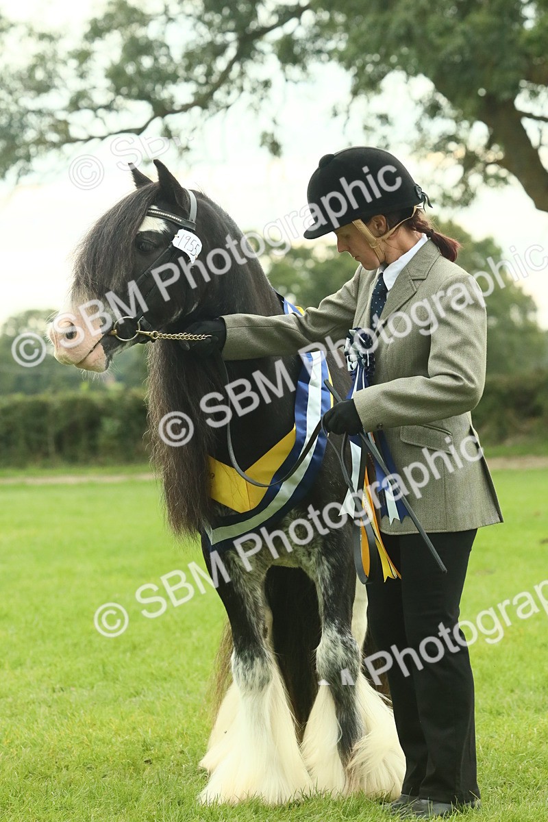 SBM_75177 - Super Supreme Championship