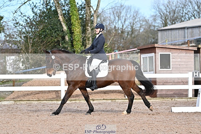 250125-124642-00482 - Dressage - CT Class 6 BE102