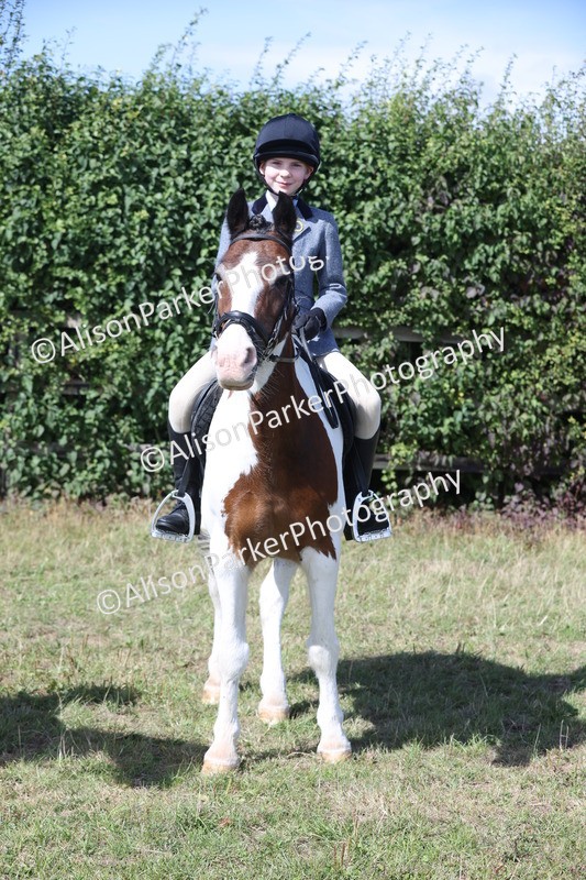 20250831-2540 - Class 16 - Family Pony