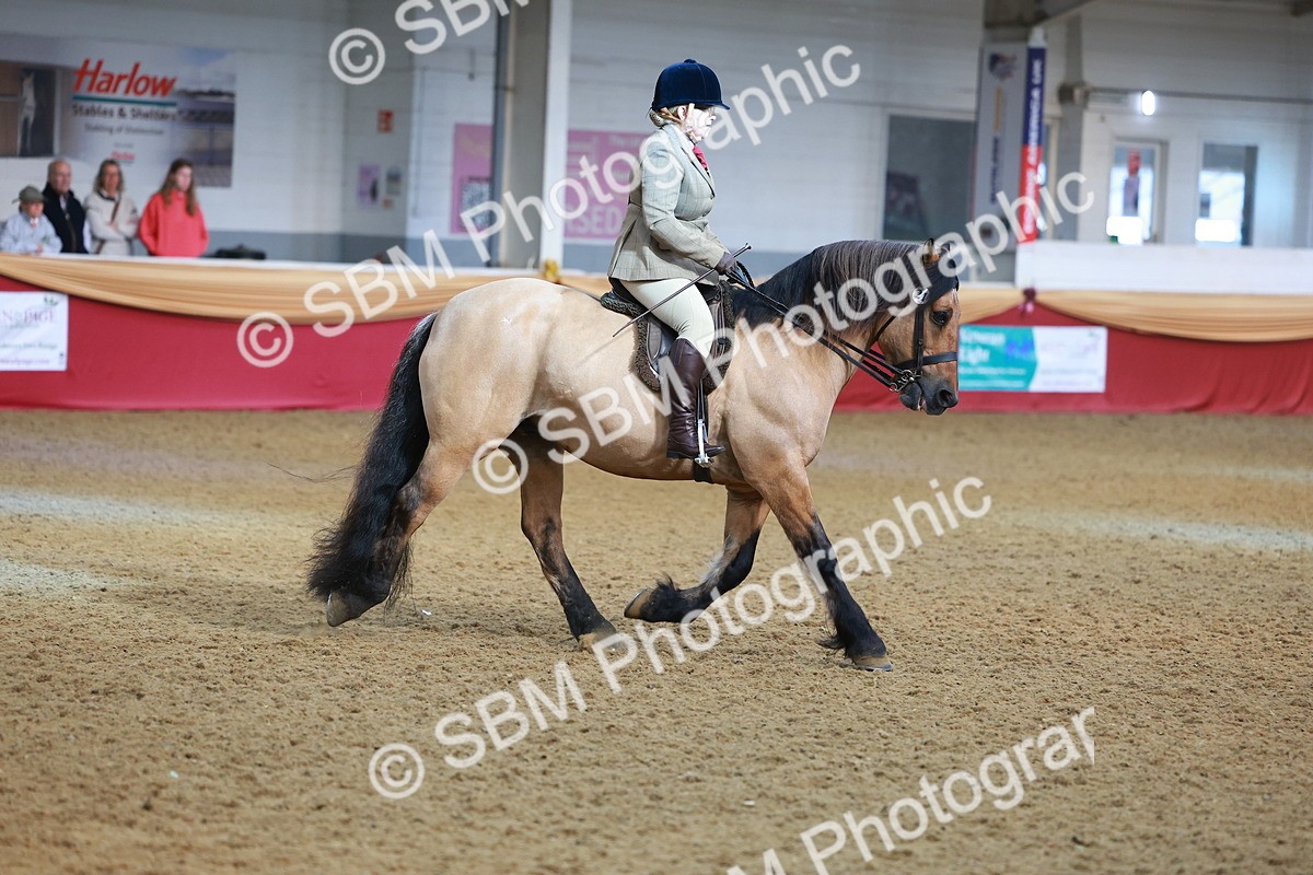 SBM_09474 - Class 102 - HOYS Veteran Qualifier - Ridden Veteran