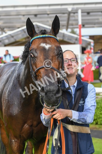 260823-Race 7-Astro King-1119 - Race 7 Sky Bet Finale Handicap at York