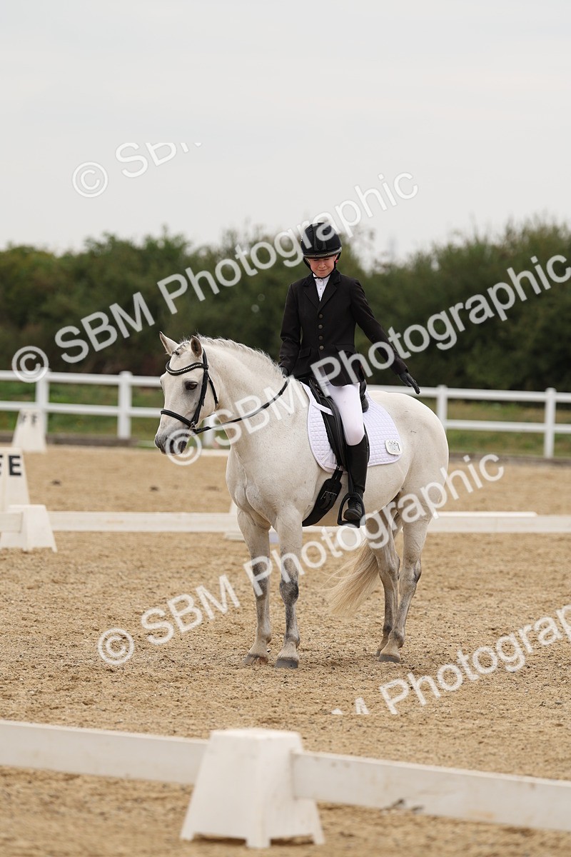 SBM_01093 - Class 8 - Novice 27 Champs
