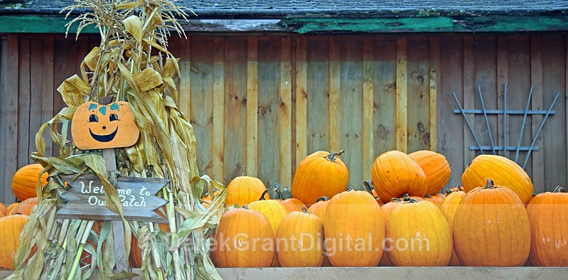 Welcome to our Patch - Autumn Festival