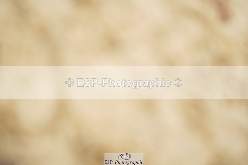 240309-152734-01523 - Cls 03 AE 90cm