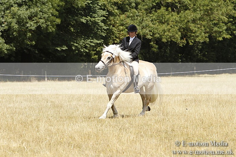 _BS_0819 - BVRC Show 2018 Ring 1