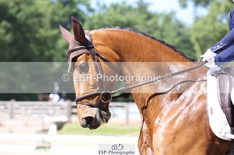 230526-112521-06050 - 152-RENKUM_JITTERBUG-Phoebe_Locke-WEDTrotUp+DR