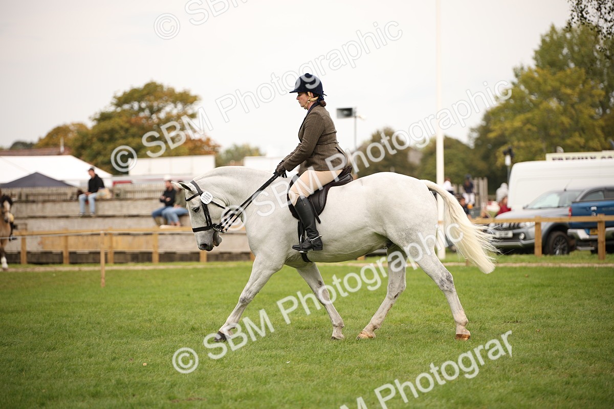 SBM_72386 - S67 - Show Cob Ridden