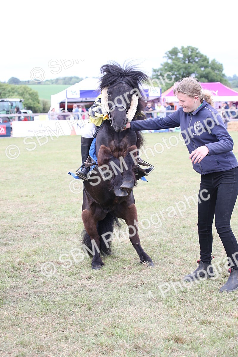 SBM_10169 - Dinky Derby