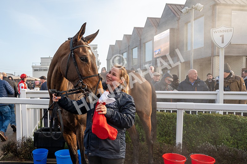 281224-Race 2-Kdeux Saint Fray-1790 - Race 2