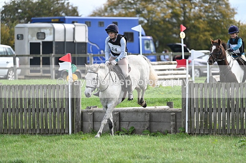 WJ7_8438 - 60cm Pairs