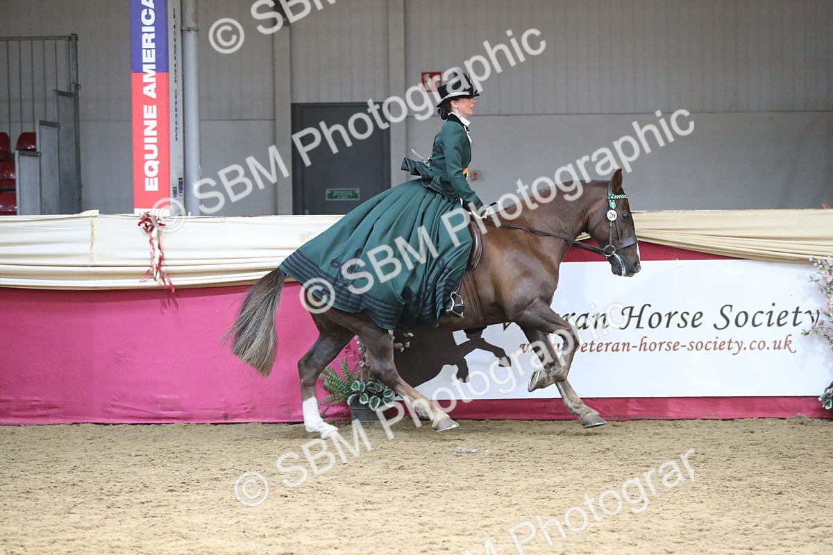 SBM_12211 - Class 107 Ridden Costume- Astride Adult (20+)