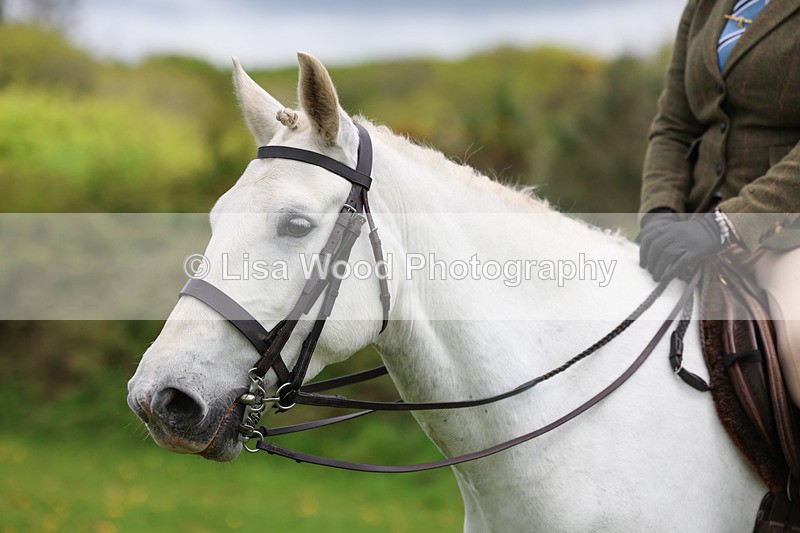 3E7A1213 - Class 7: Ridden Hunter Type