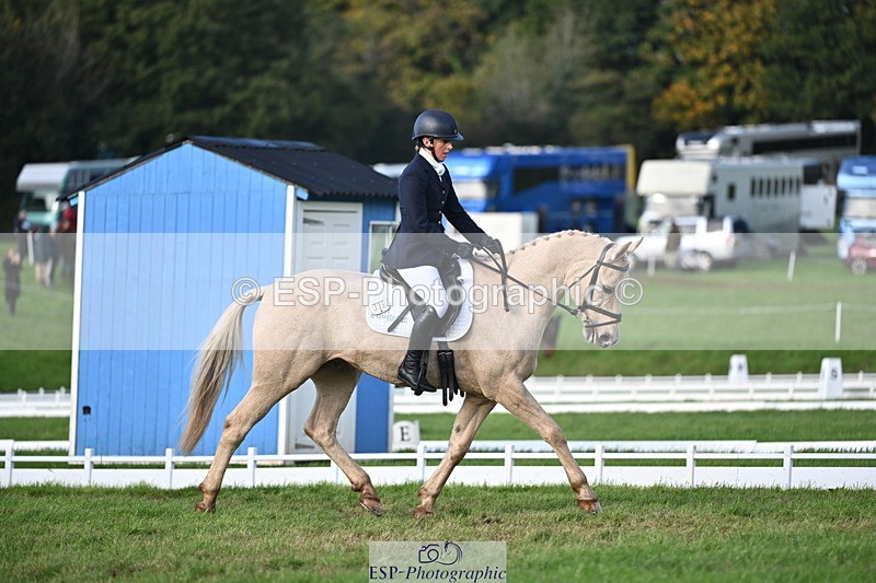 251024A-150901-13968 - E-395-Rolline.OCallaghan