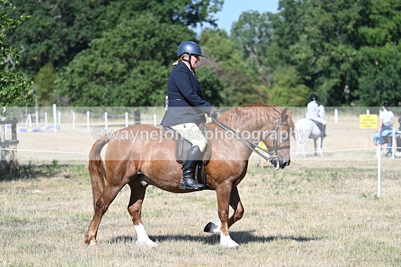 WJ7_3408 - Class 9 Mountain & Moorland Ridden