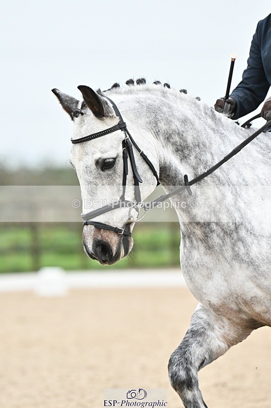 241103-112059-01172 - Prelim 1 - 10.04 to 11.21