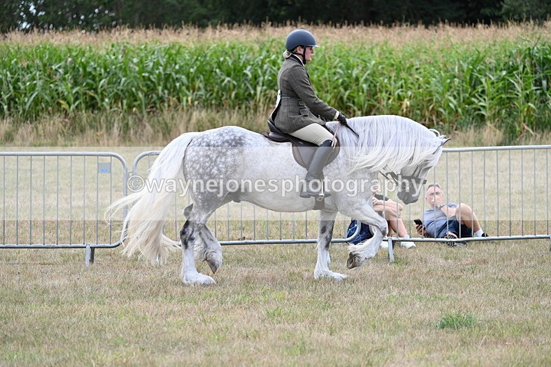 WJ7_5276 - Class 12 Ridden Cob
