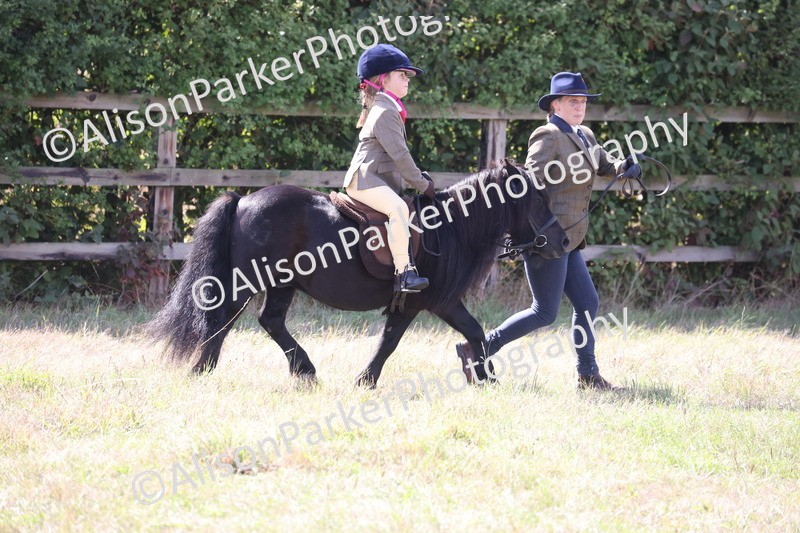 20260906-2765 - Class 25 - Absolute Beginners Pony