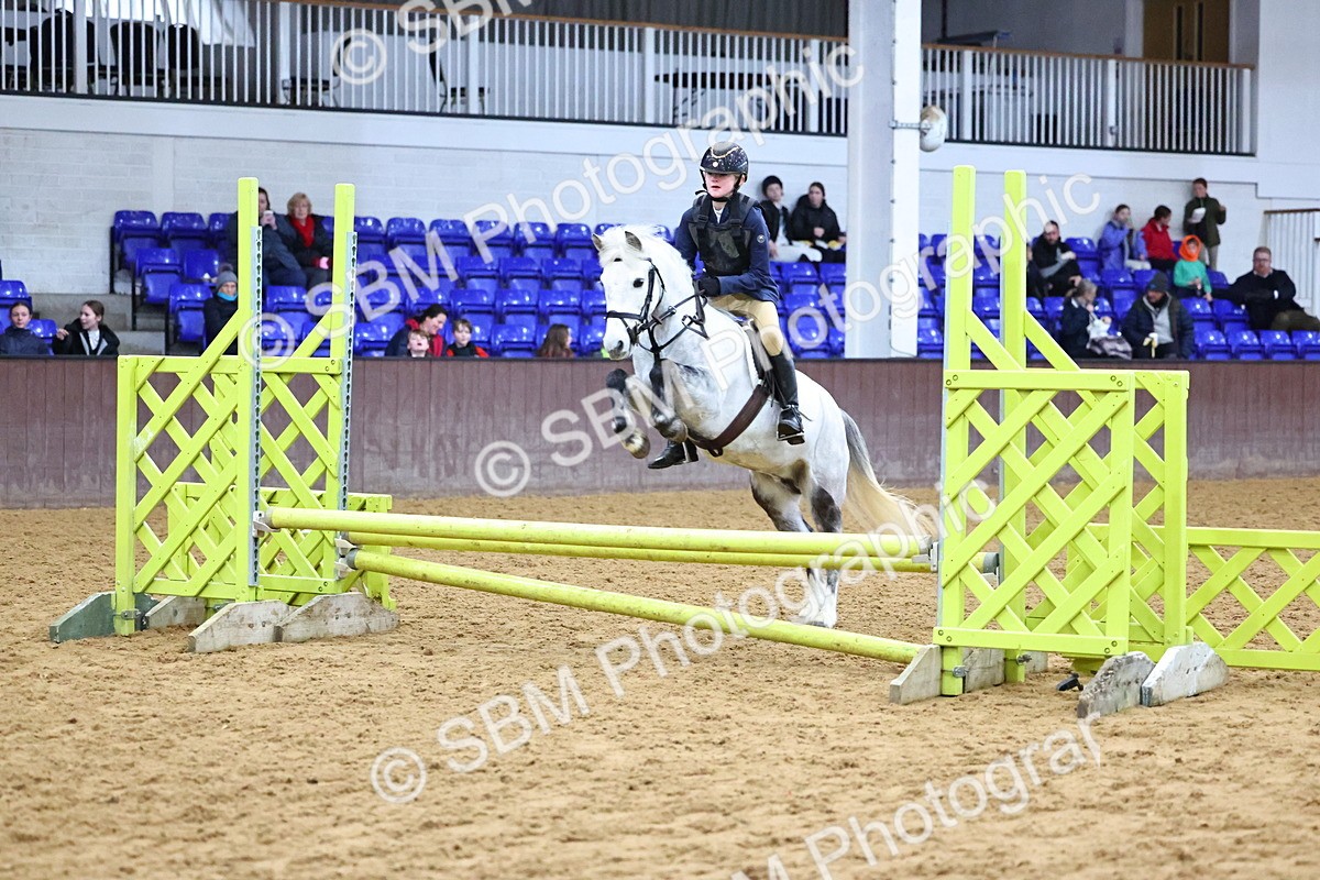 SBM_001392 - Class 3 - Christmas Tree Stakes - 60cm