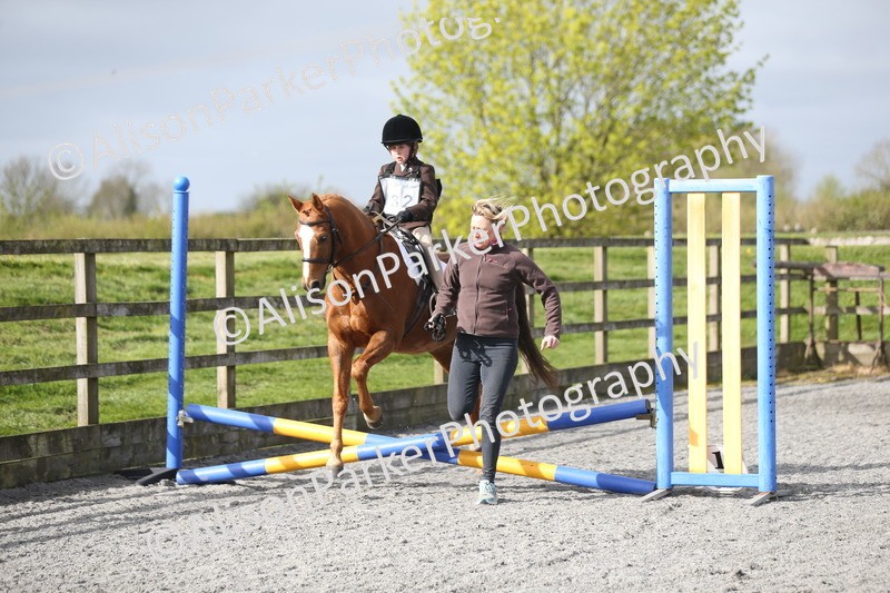 20260412-0083 - Show Jumping