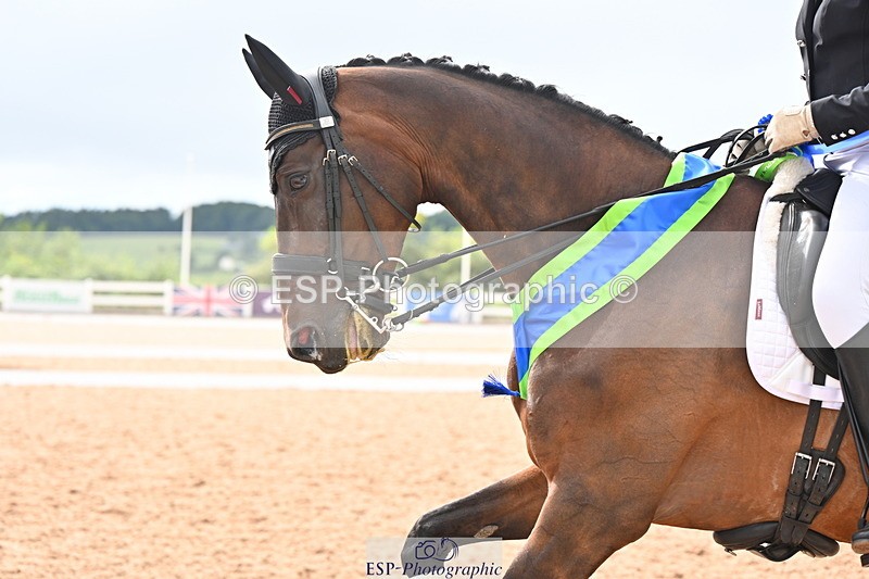 240815A-163918-02716 - Cls 5-P Inter I Bronze