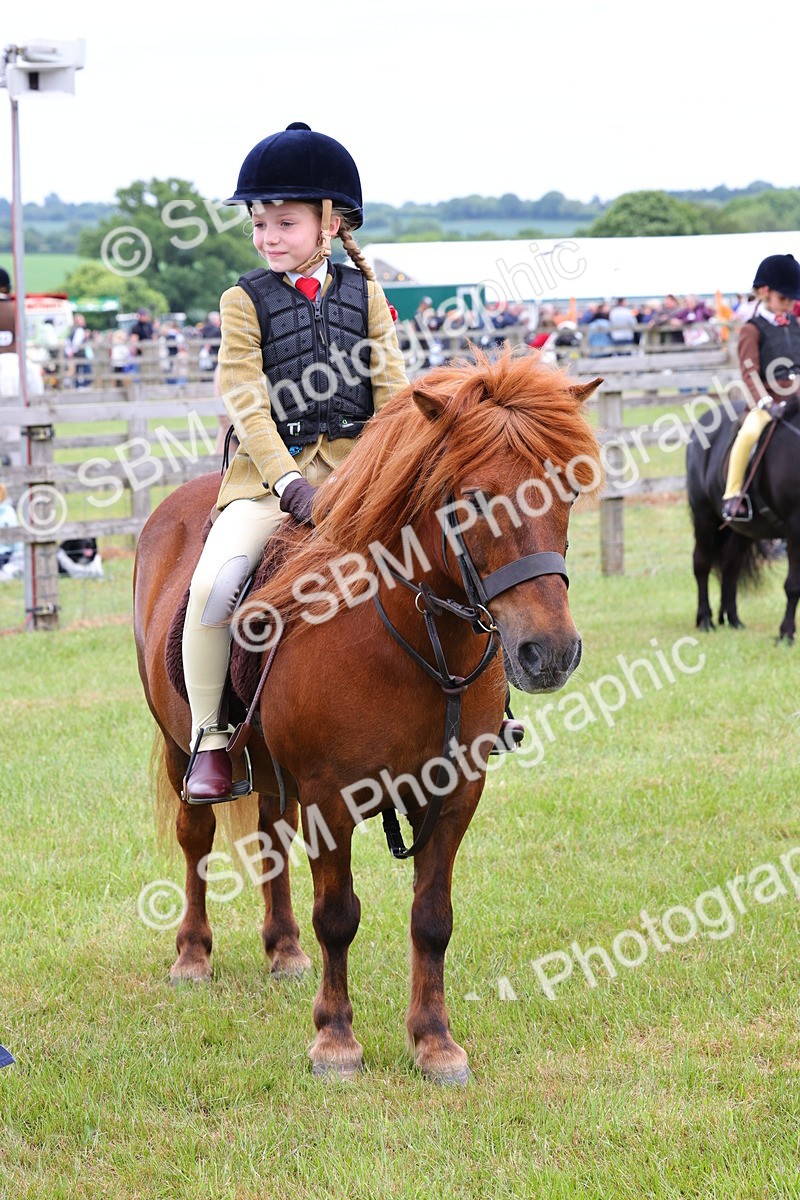 SBM_08829 - Class 42-43 - LIHS BSPS Heritage Working Sports Pony