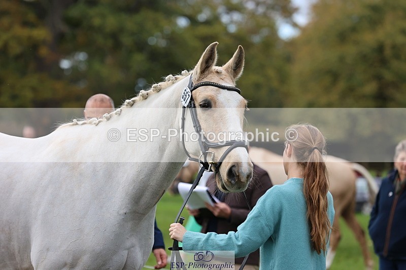 251026A-105245-23341 - G-557-Imogen.Knight with SJ