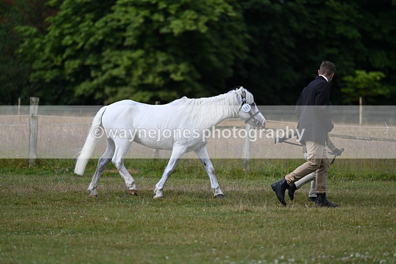 WJ7_4468 - Class 1 Lead Rein Pony
