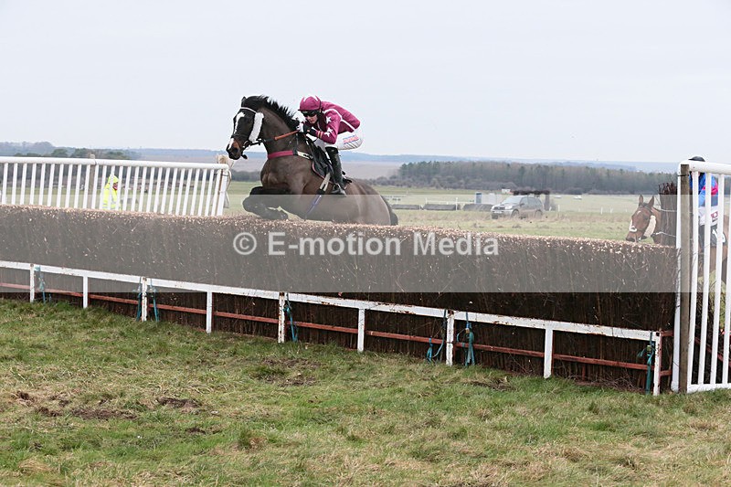 PtP 060119 68 - Larkhill Racing Club - Point-to-Point- 06/01/2019