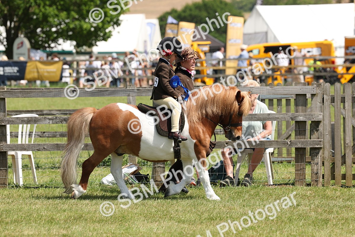 SBM_05403 - Class 24-25 - Mountain & Moorland In Hand Lead Rein and First Ridden
