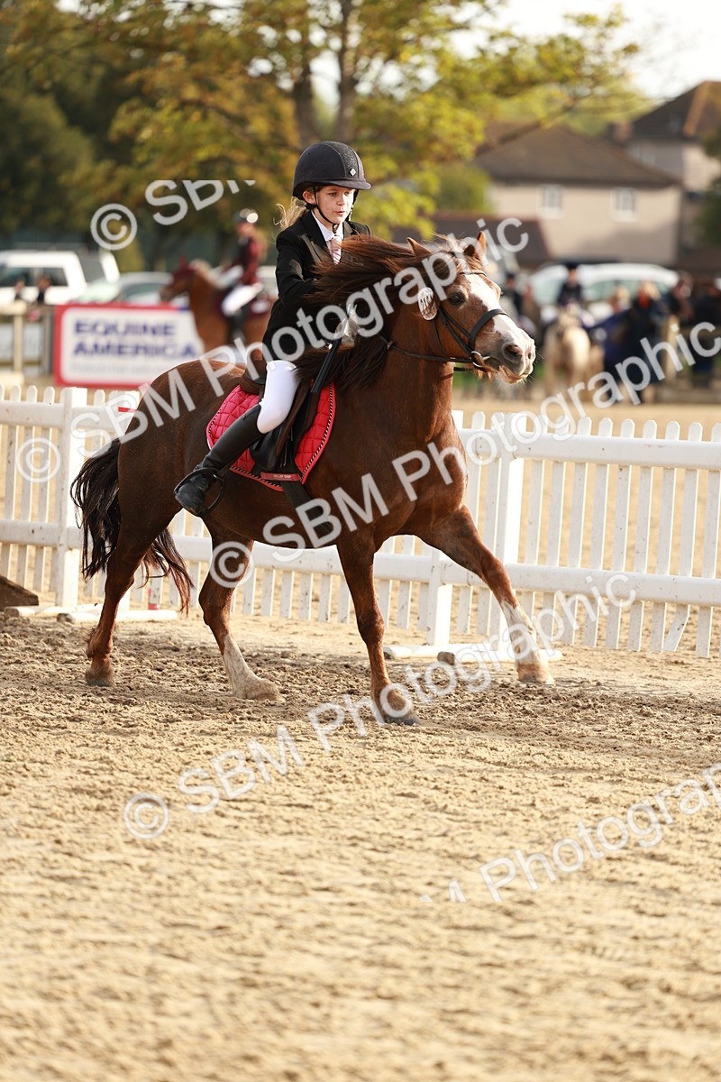 SBM_55611 - J11 - Junior Pony 50cm Championship