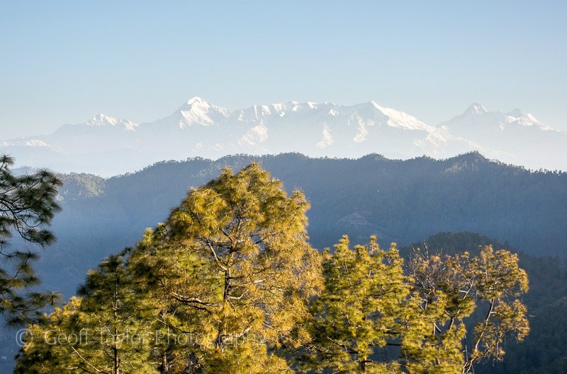 Himalayas from Khali Estate - Binsar Sanctuary