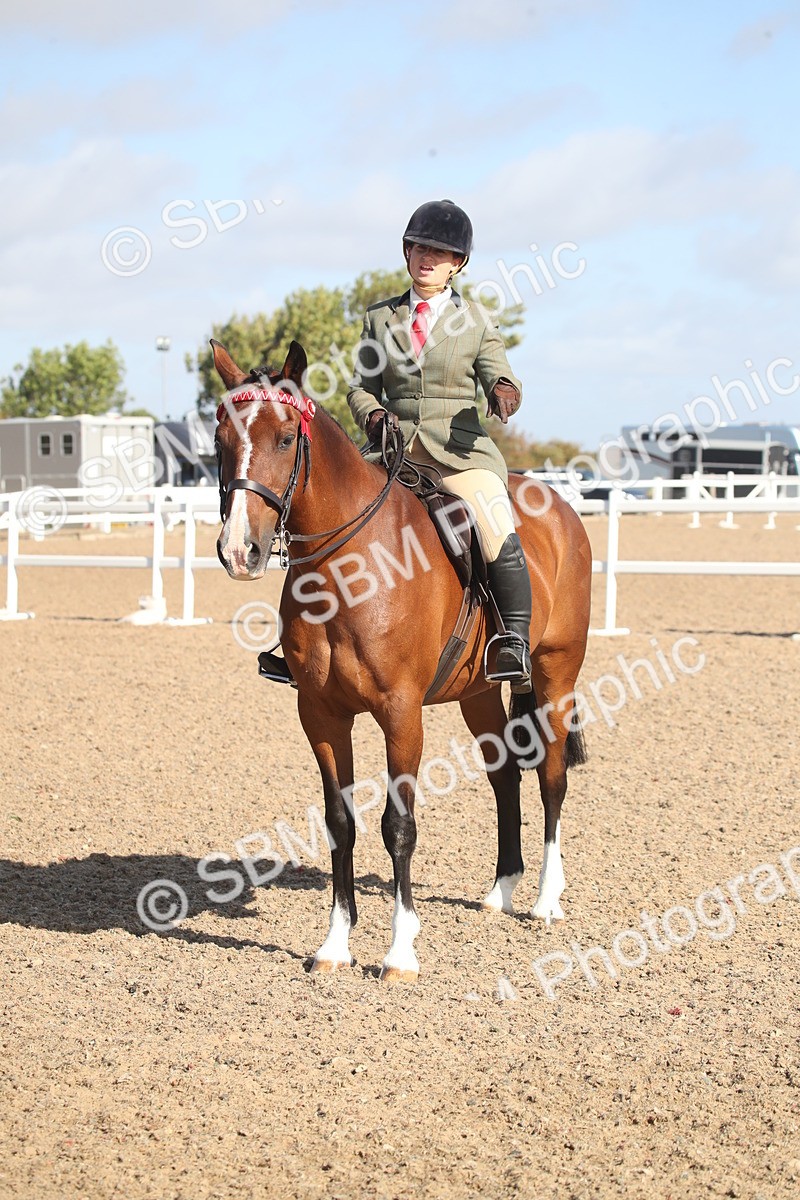 SBM_22725 - Class 601 - 2026 - Area - Ridden Diamond